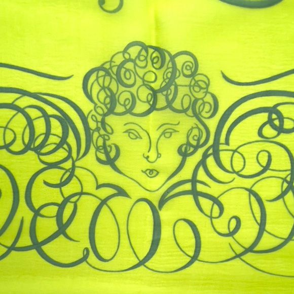 NWT! Rare Hermes Sheer Rectangular Scarf Shawl - Picture 6 of 6